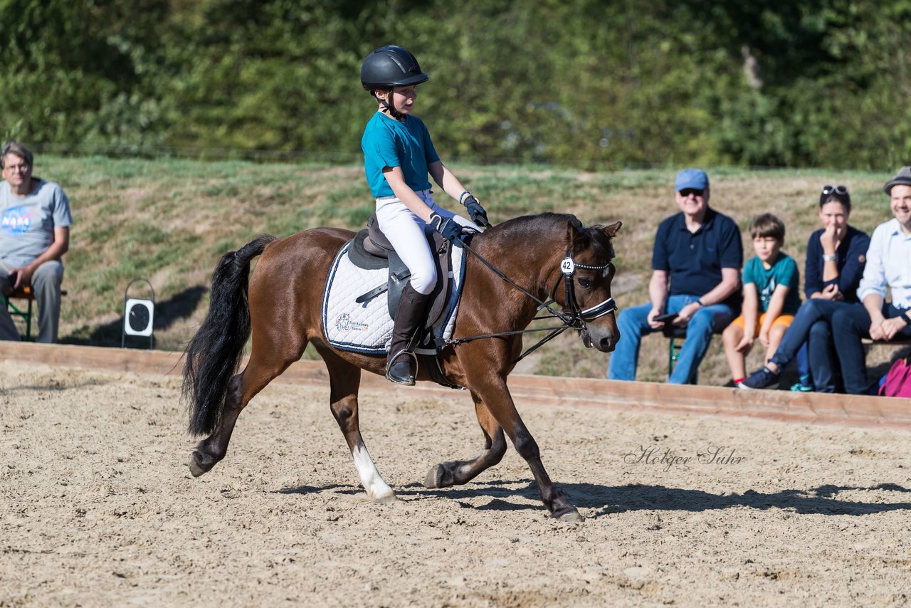 Bild 64 - Pony Akademie Turnier